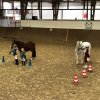 Top_Horses